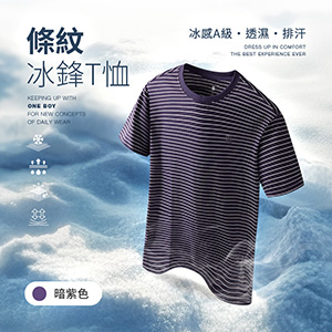 冰感A級冰科技吸溼排汗透氣條紋冰鋒T恤